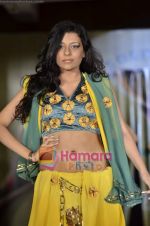 at Sasmira colelge annual fashion show in Worli, Mumbai on 13th May 2011 (67).JPG